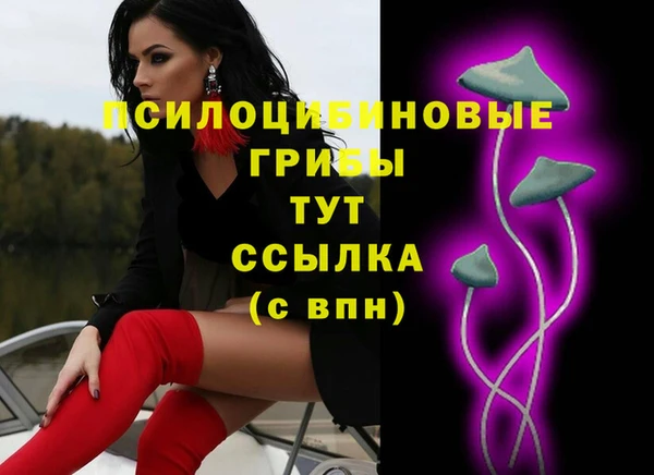 МДПВ Армянск