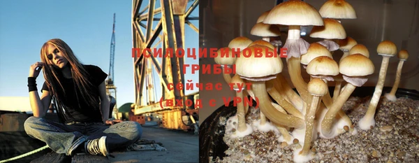спиды Аркадак